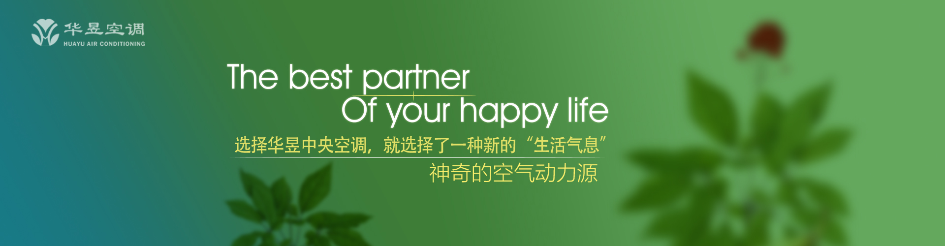心腹之患网